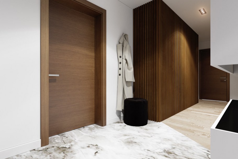 Современные входные двери в стиле Минимализм