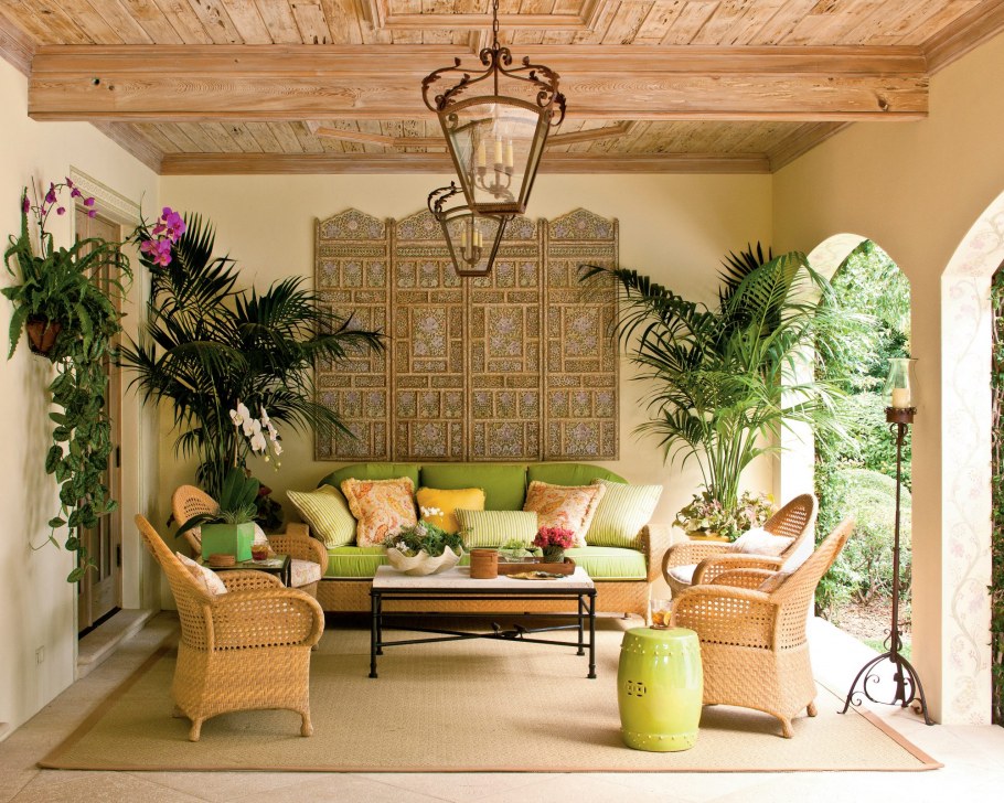 Тропические растения в интерьере