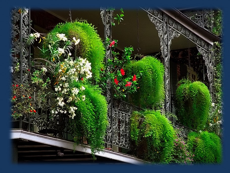 Крайстчерч висячие сады