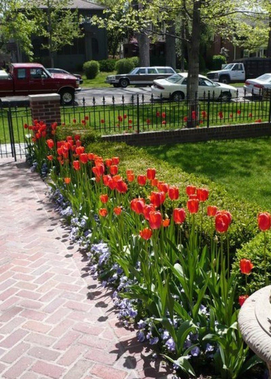 Клумба вдоль дорожки