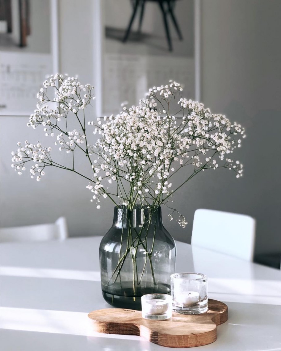 Гипсофила Эстетика