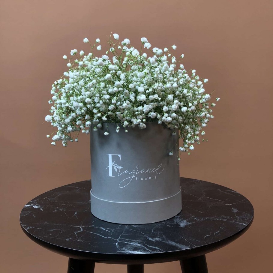 Засохшая гипсофила