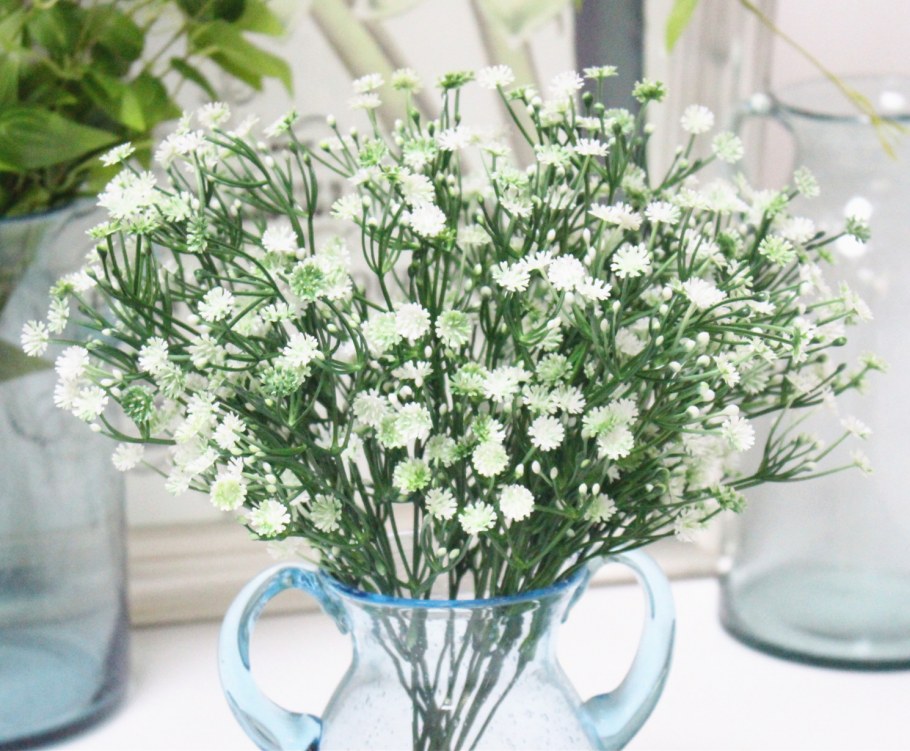 Гортензии и гипсофилы