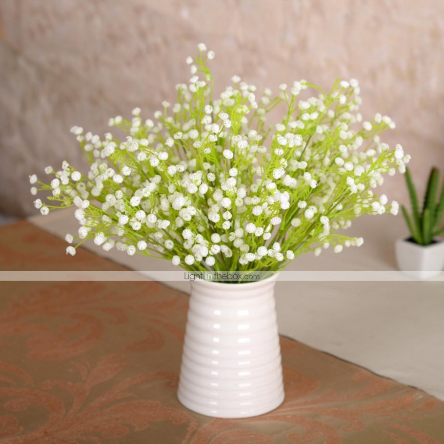 Гипсофила в коробке