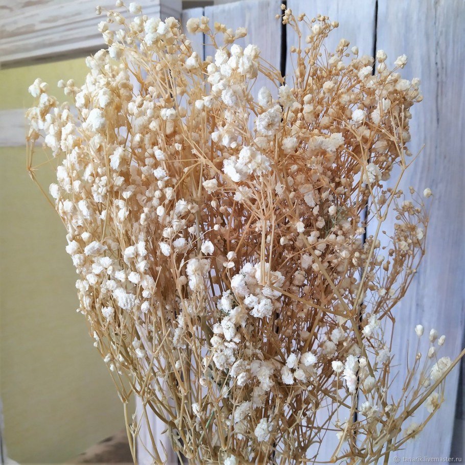 Гипсофила свадебный букет