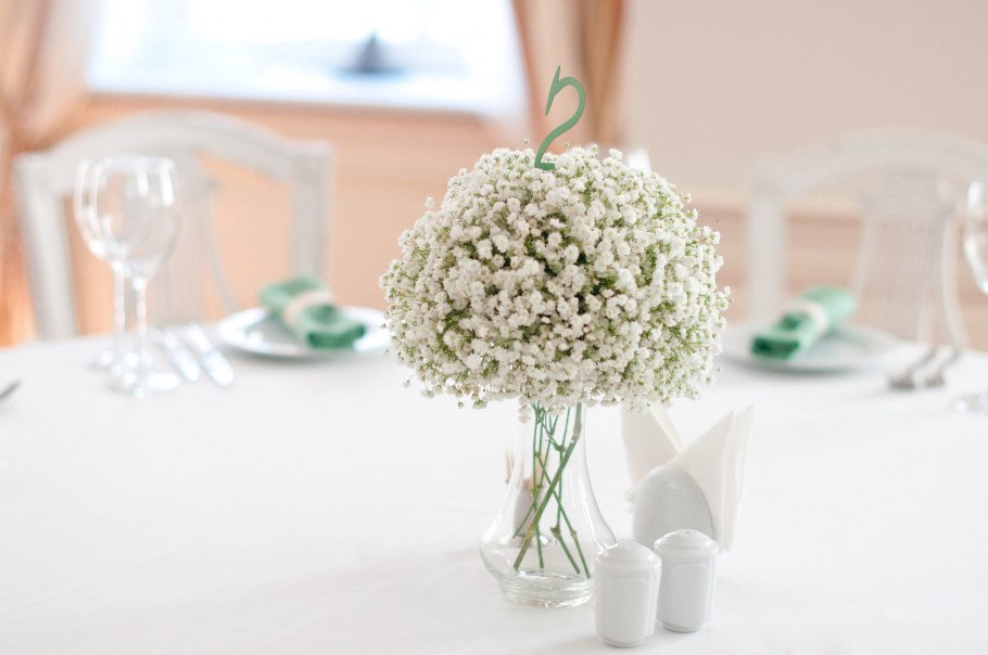 Гипсофила микс пастель