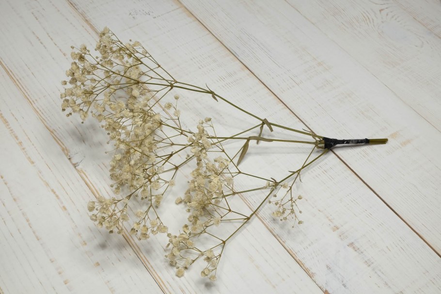 Гипсофила Мирабелла