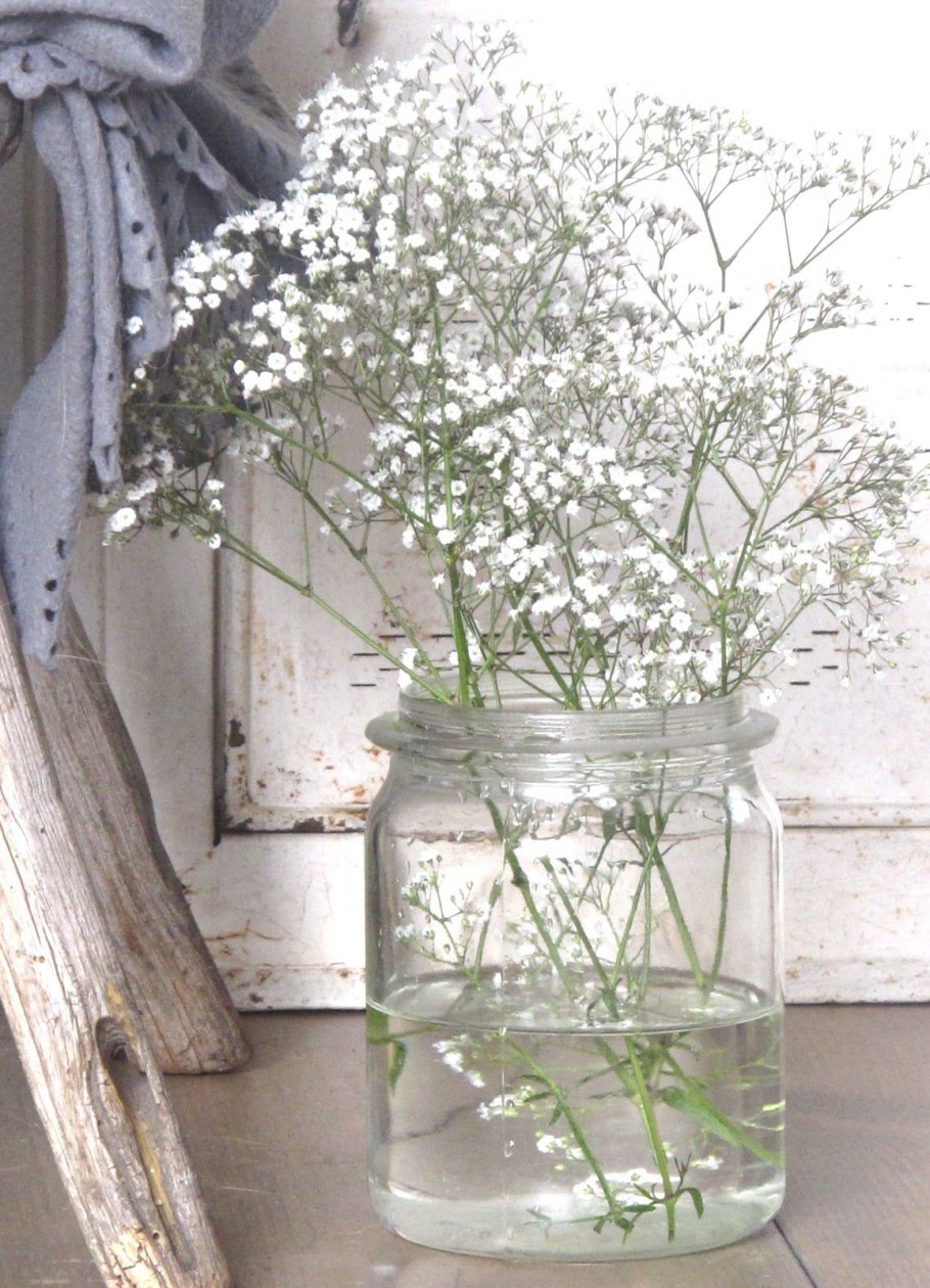 Гипсофила в вазе в интерьере