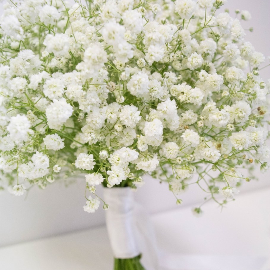 Композиция гипсофила