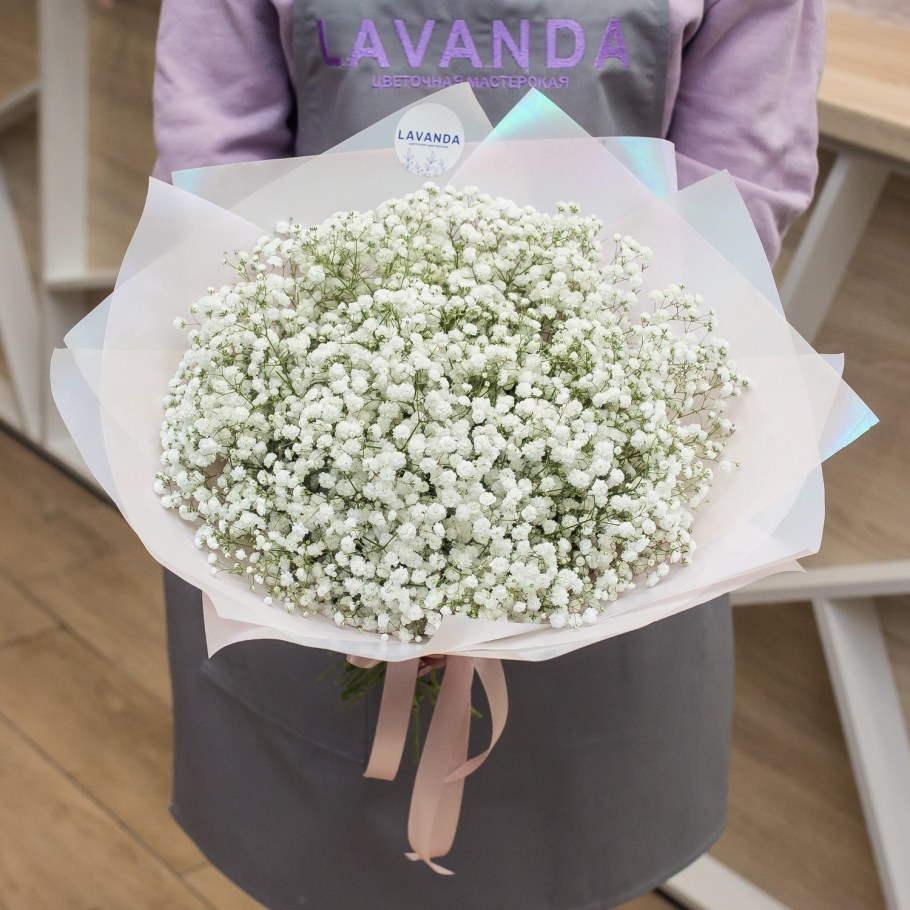 Розовый гипсофил Gyu