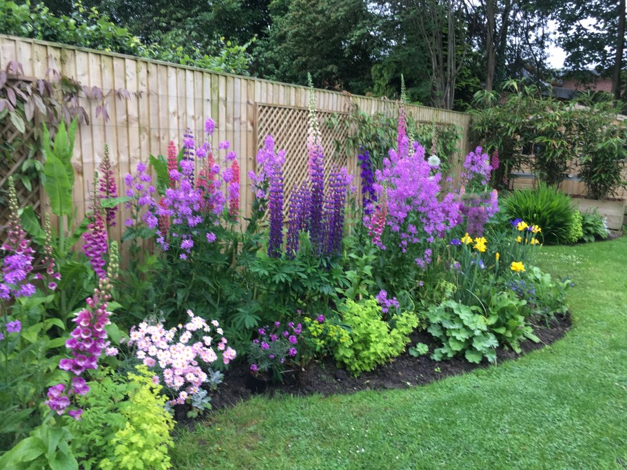 Миксбордер рабатка Люпин Флокс