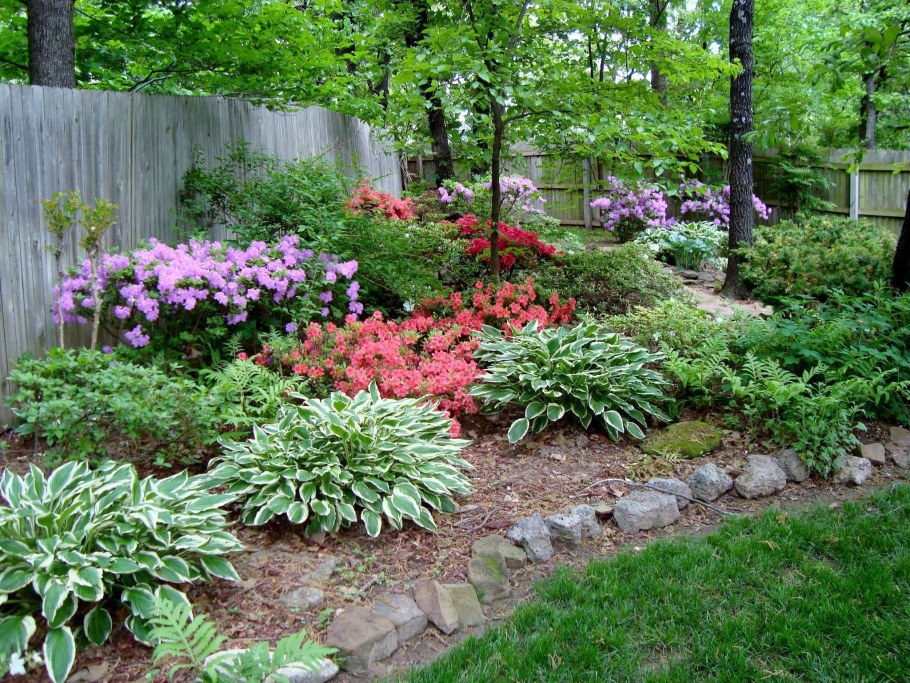 Астильба в рокарии