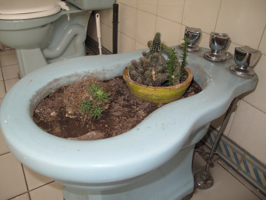 Биде пользование