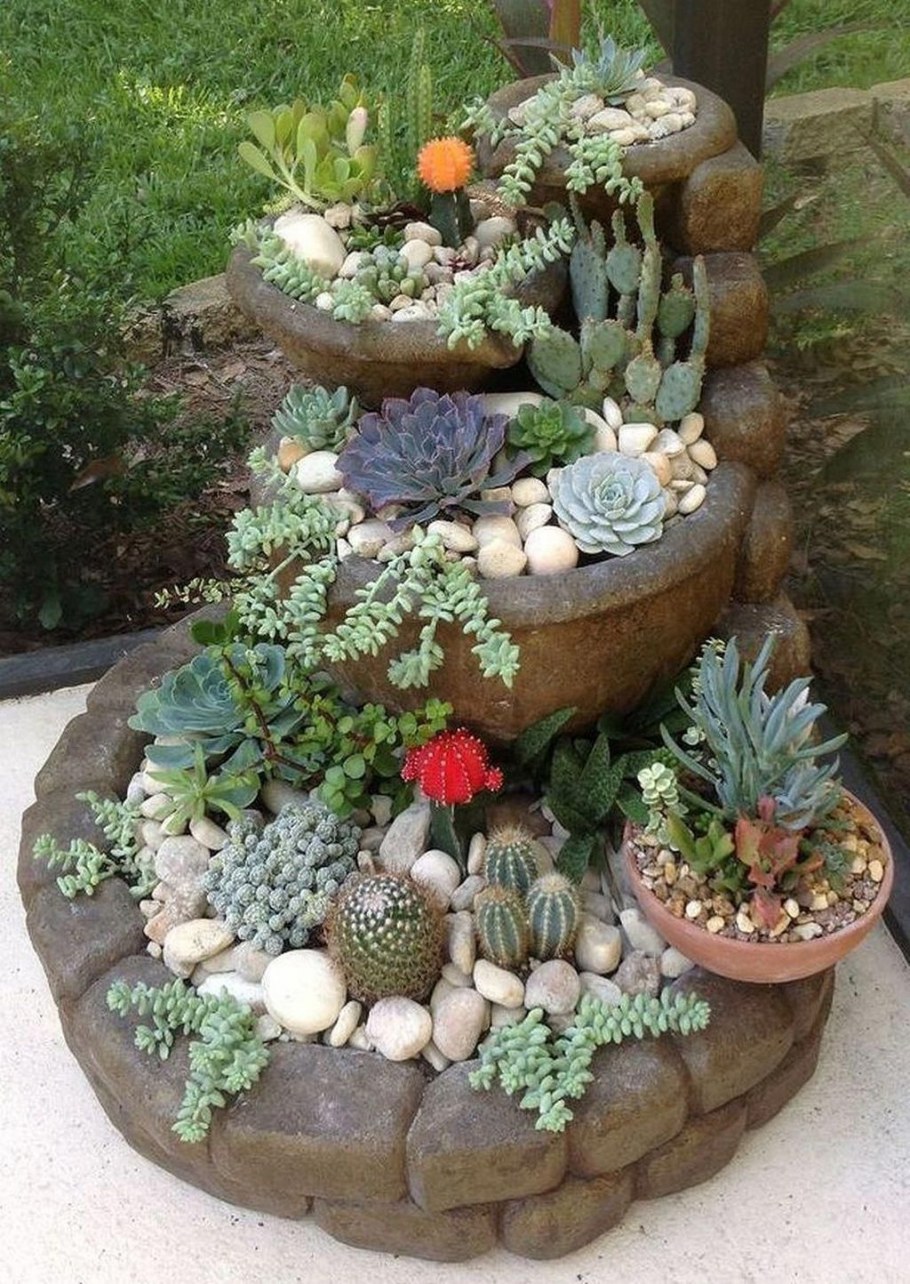 Альпийская горка из суккулентов