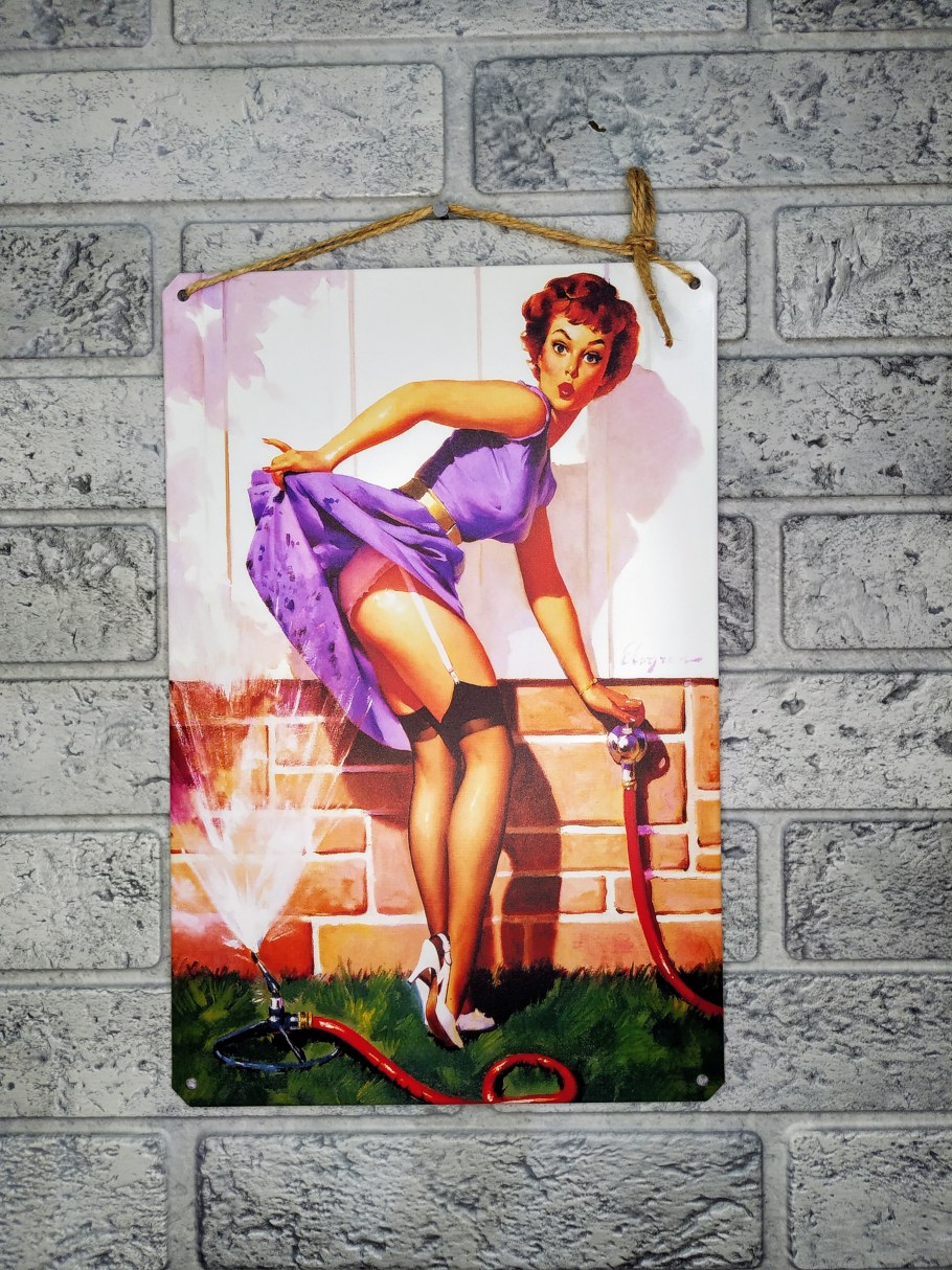 Постеры на стену в стиле пин ап