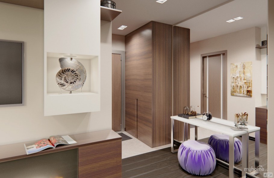 Зонирование прихожей