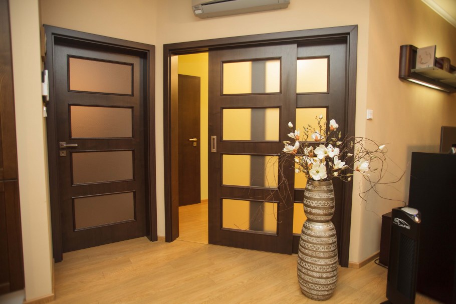 Дверь Софья Инвизибл серый дуб