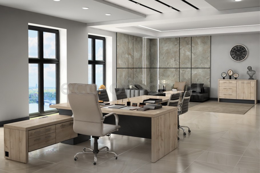 Кабинет руководителя Модерн Шамони темный