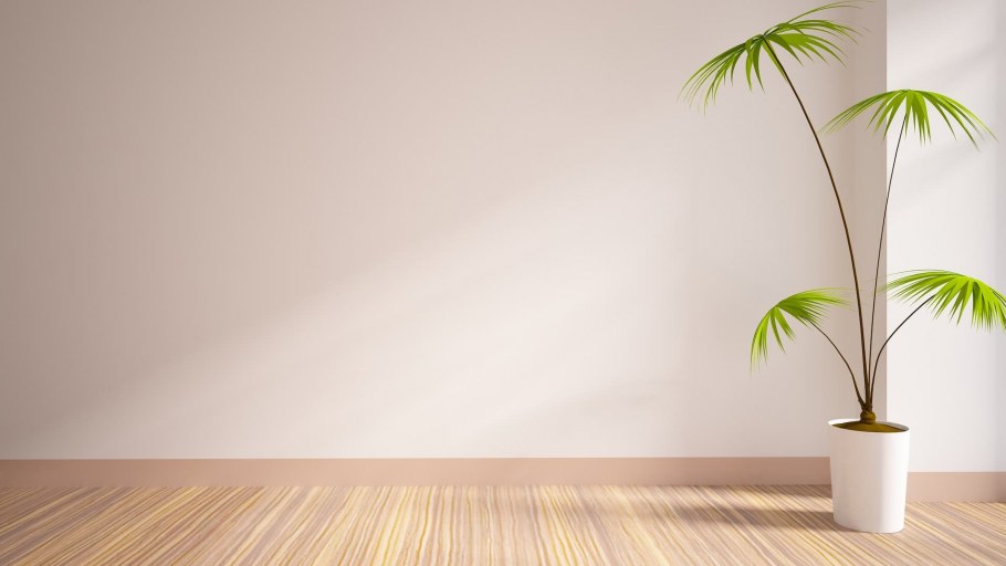 Пустая стена