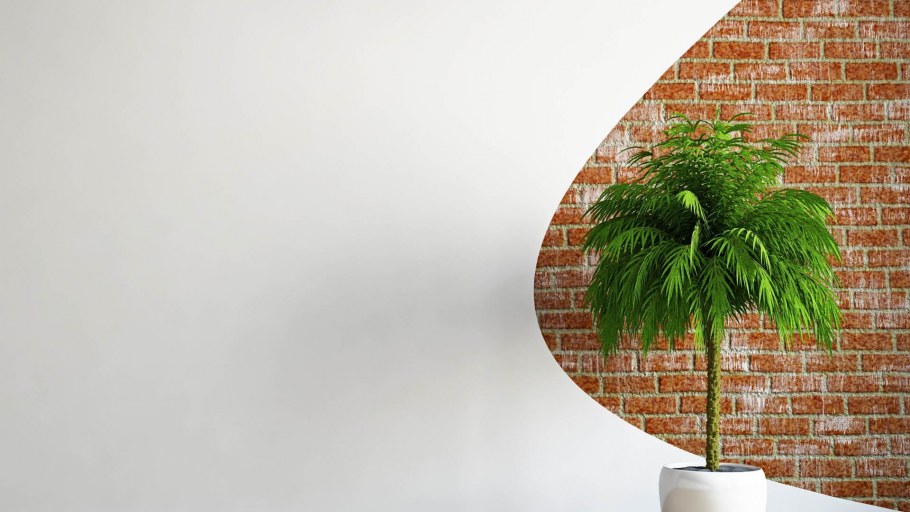 Пустая стена