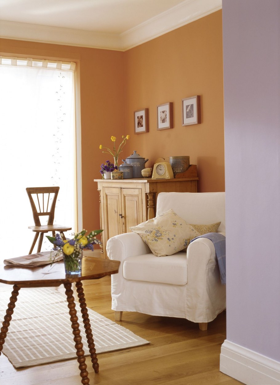 Горчичные Dulux