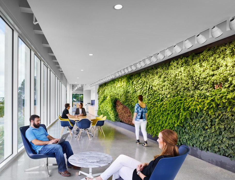 Зеленая зона в офисе