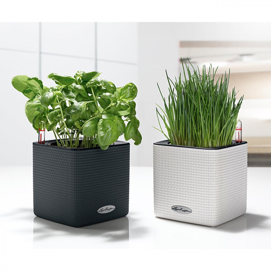 Горшок Lechuza poro