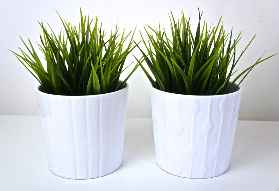 Кашпо икеа Осока