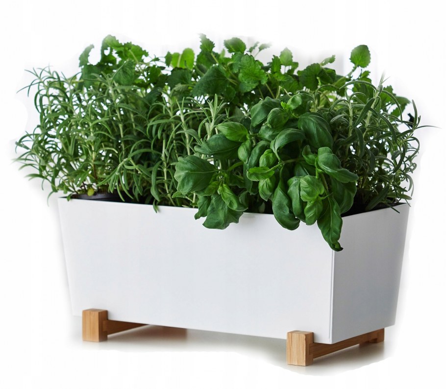 Кашпо икеа БИТТЕРГУРКА