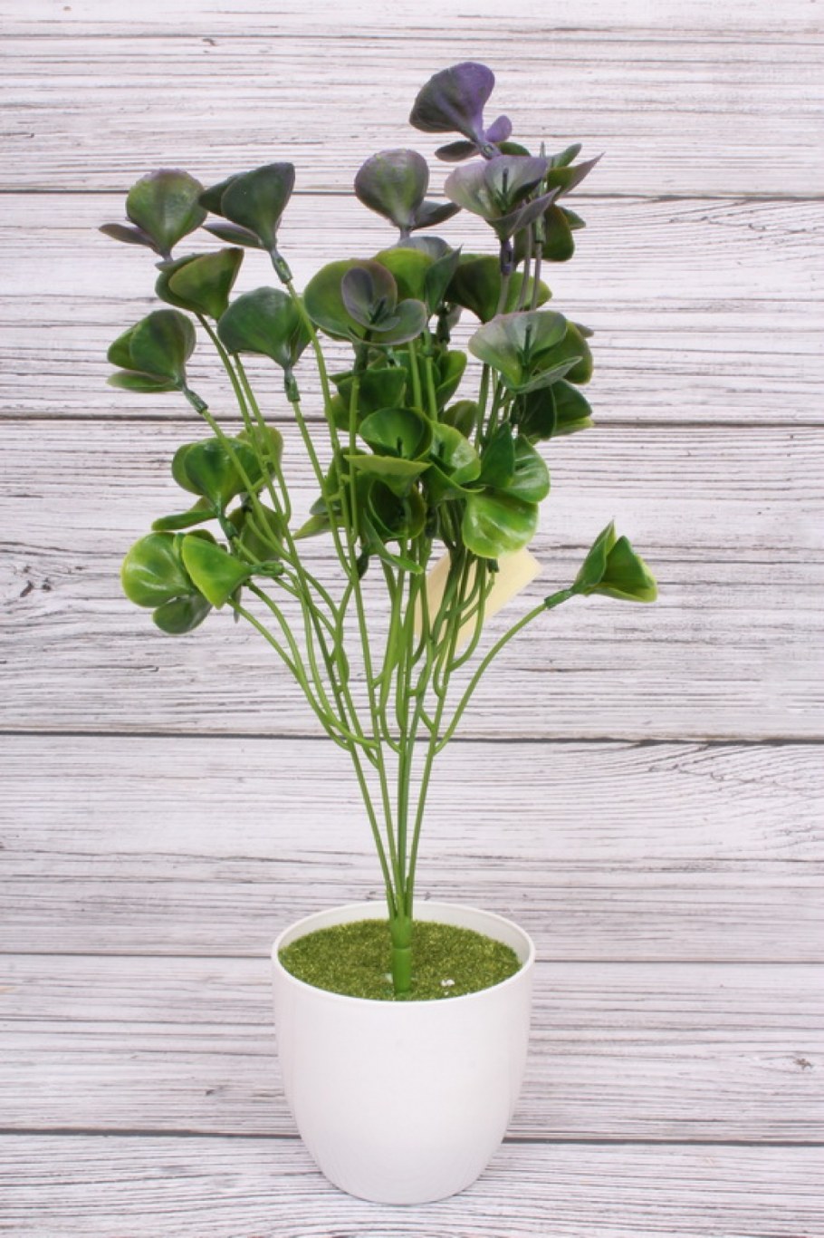 Искусственные растения