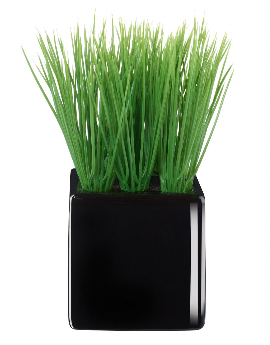 Искусственная зелень