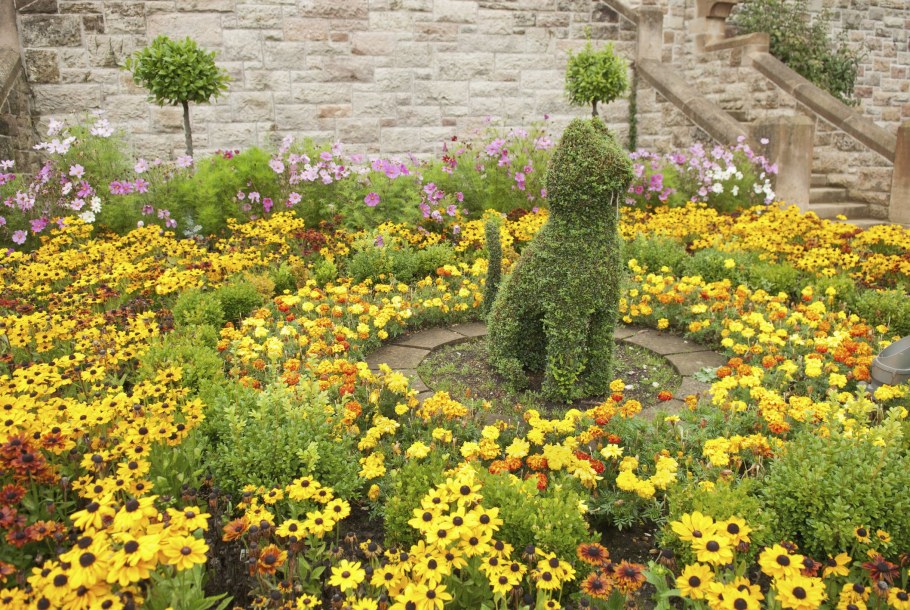 Клумба в желтых тонах