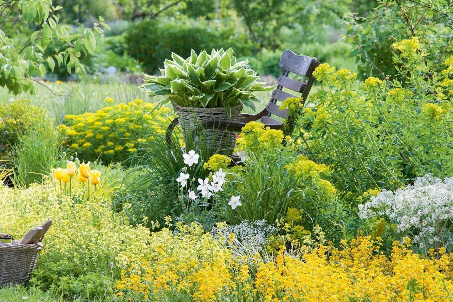 Цветник в огороде