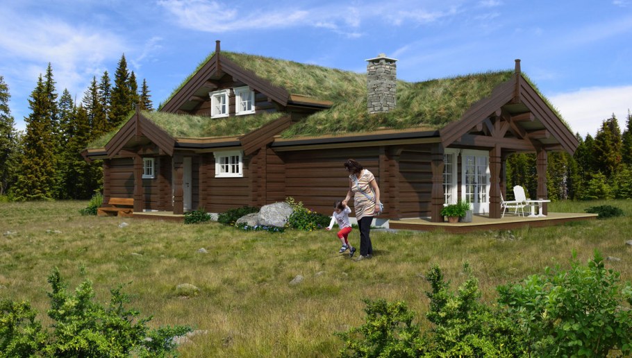 Дом ставлафт