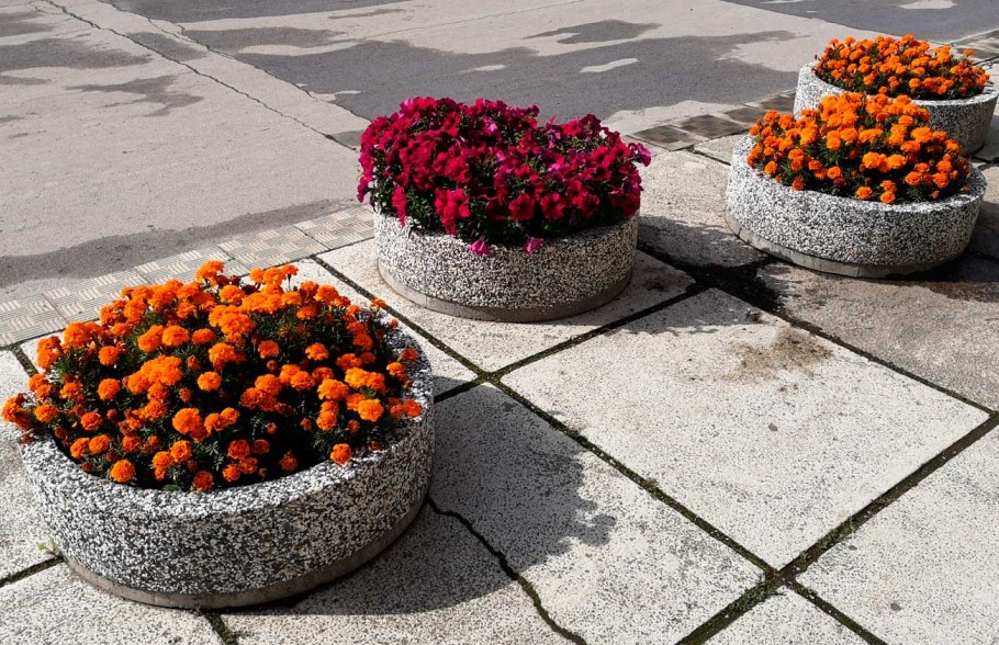 Вазон с цветами