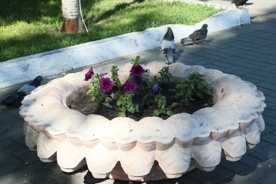 Вазоны для дачи из бетона