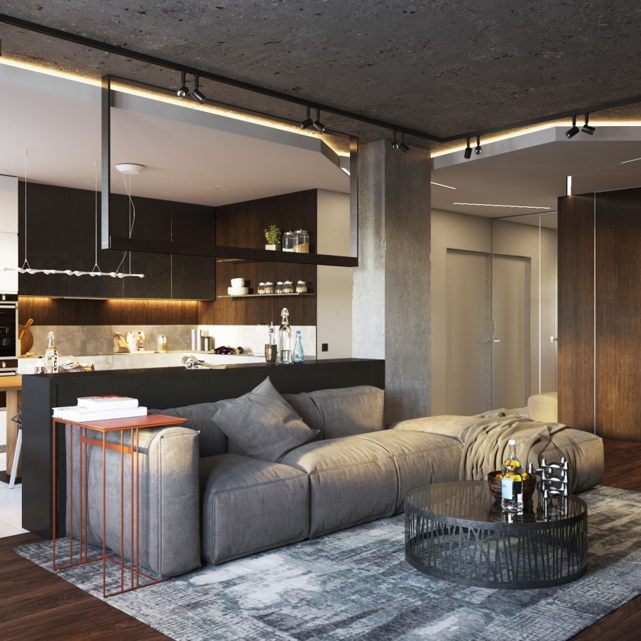 Кухня с гостинной 30кв м лофт