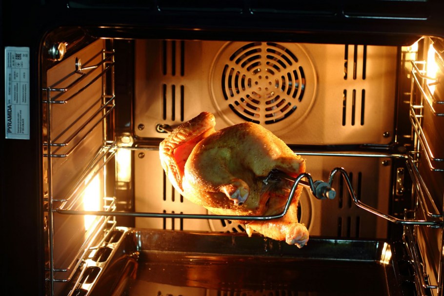 Клуша Larus fuscus черно белое фото