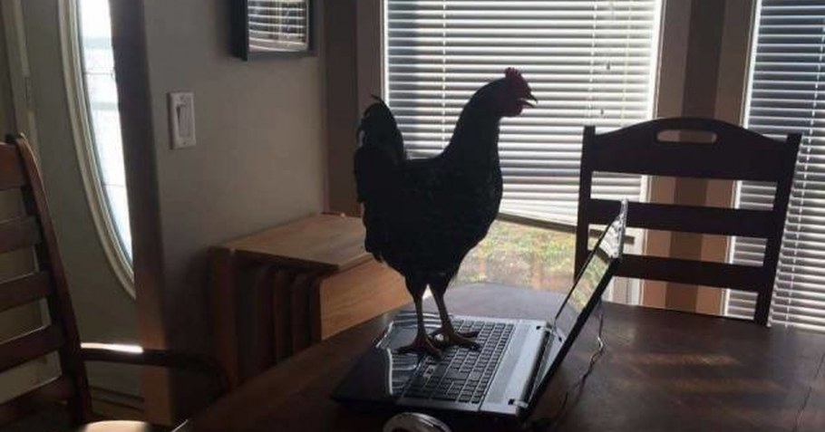 Светильники в скандинавском стиле