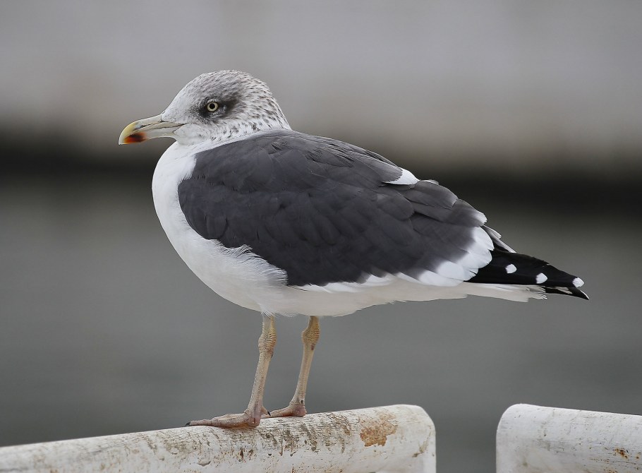 Кресло в комнату подростка