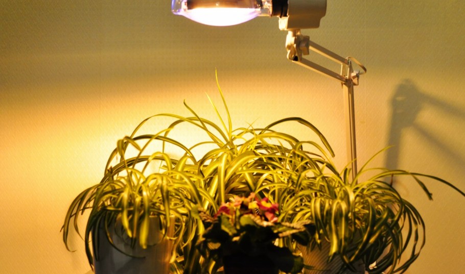 Лампа Рефлакс солнышко