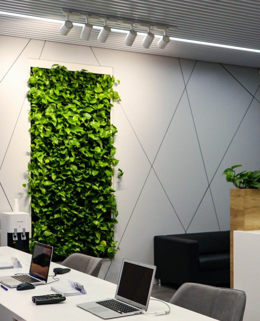 Фитостены вертикальное Озеленение