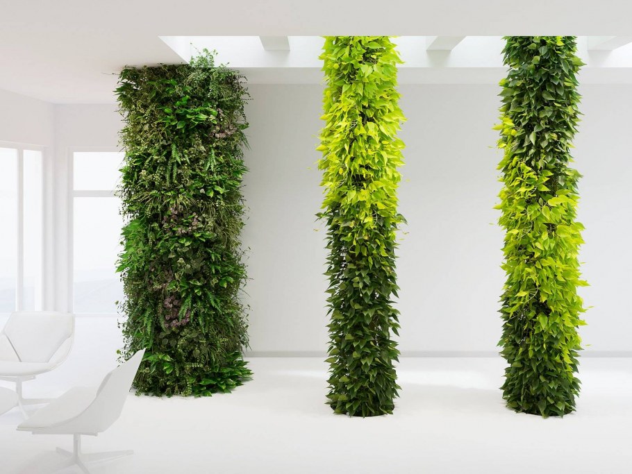 Фитостена 3ds