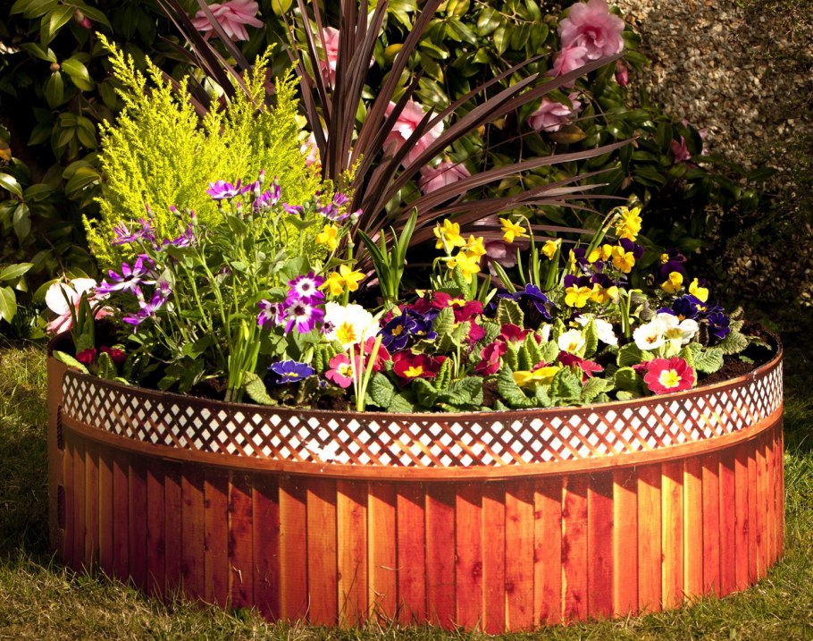 Красивые клумбы цветники миксы на даче