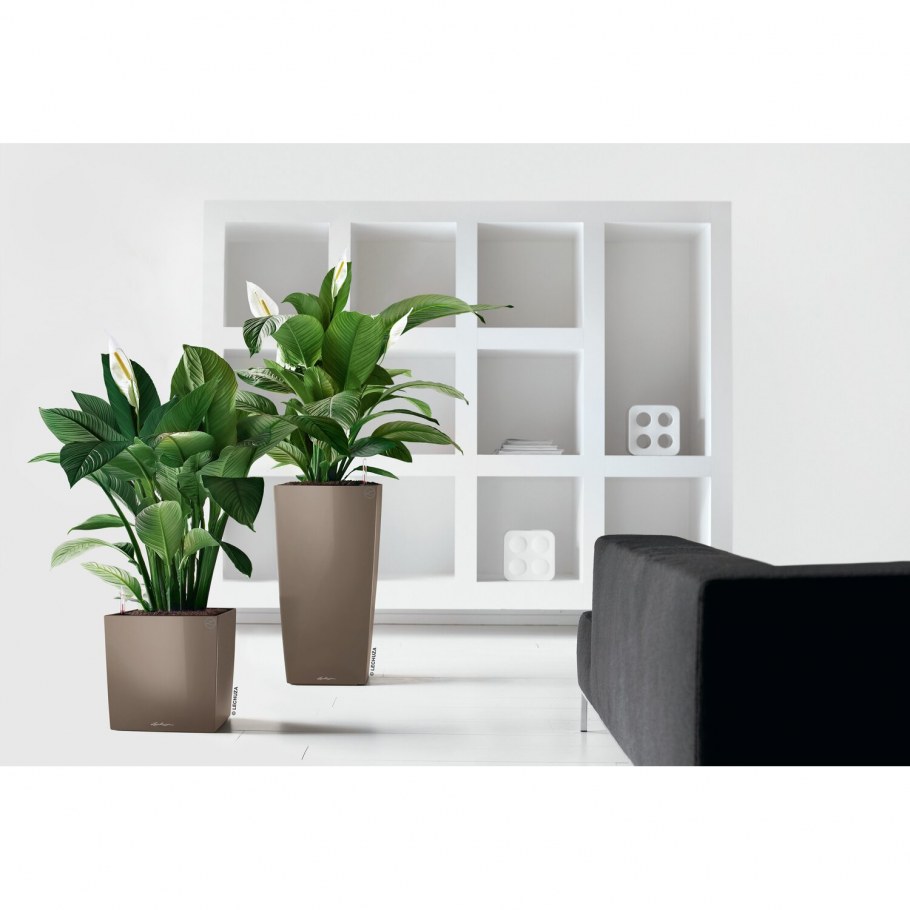 Кашпо Lechuza Cube 50