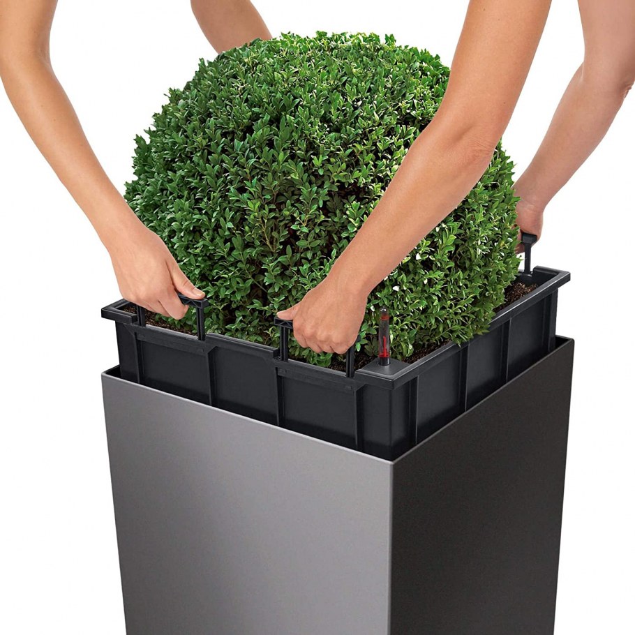 Лечуза кашпо на колесах