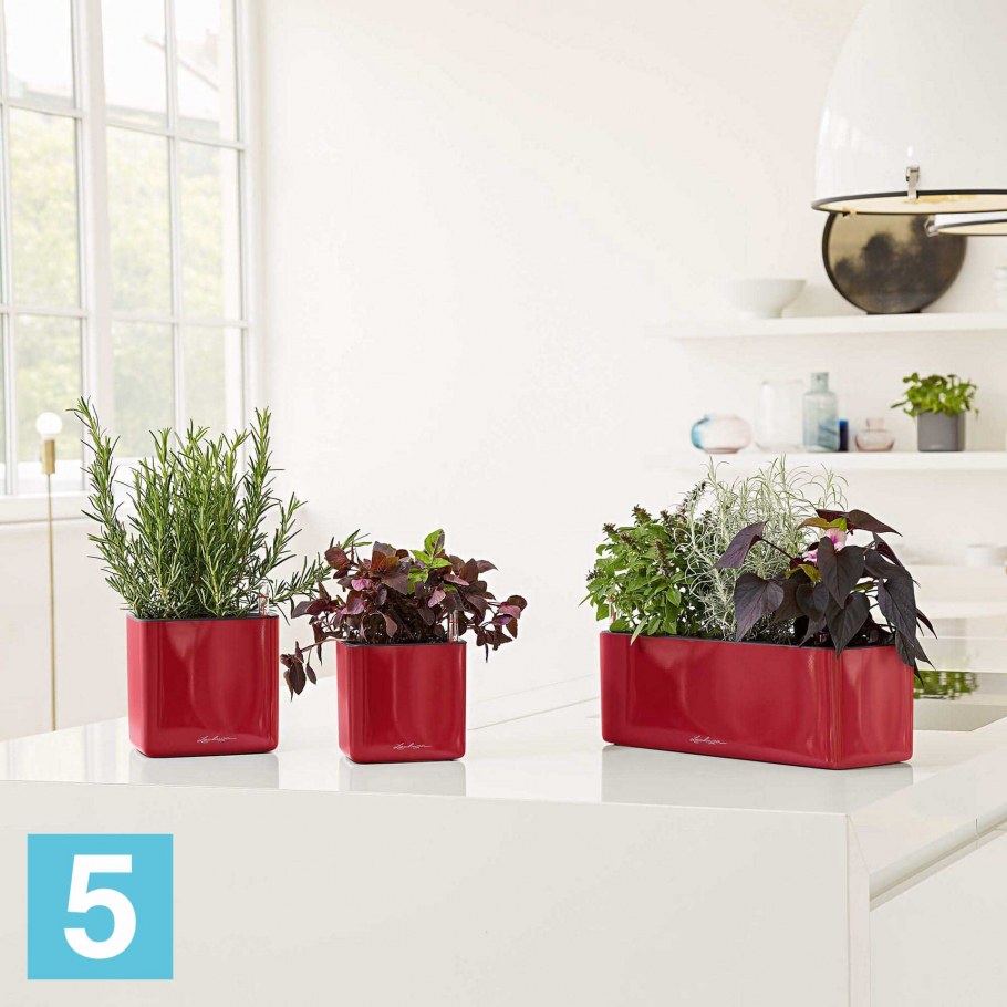 Lechuza Cube Glossy Triple