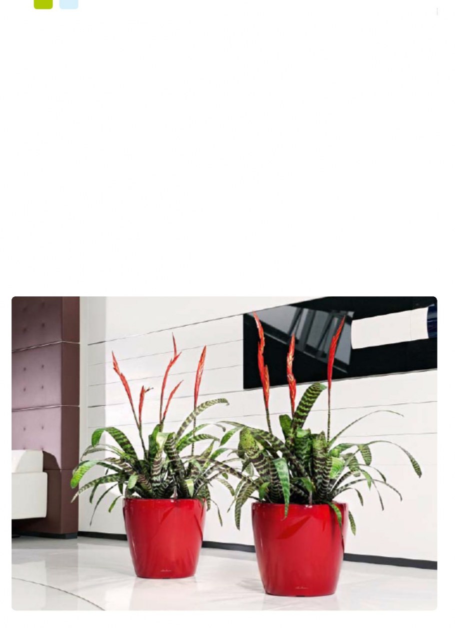 Кашпо Lechuza Classico 28