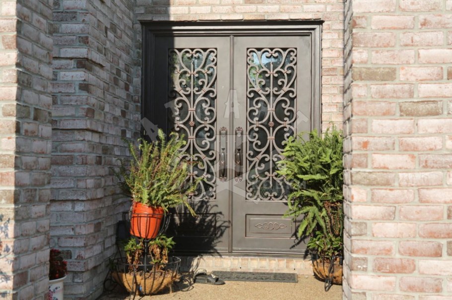 Двери с элементами ковки