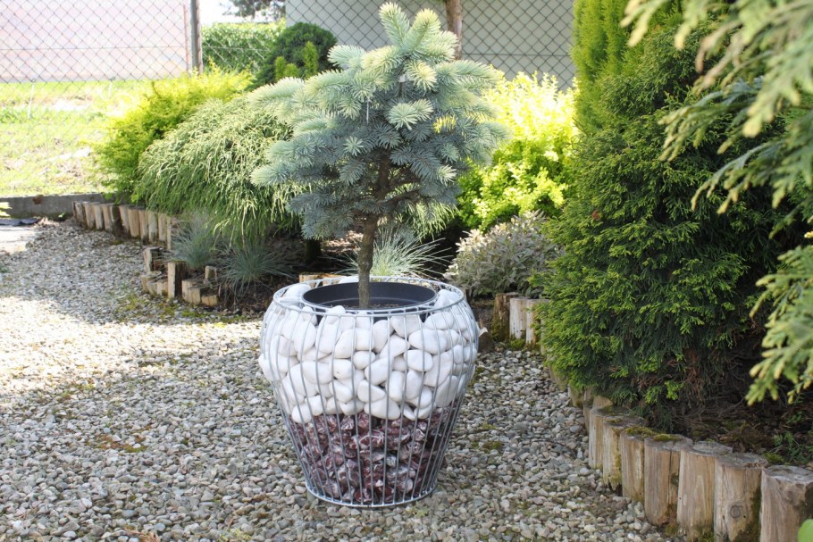 Габион улитка